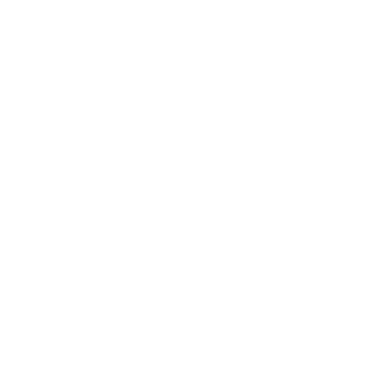 balance icon