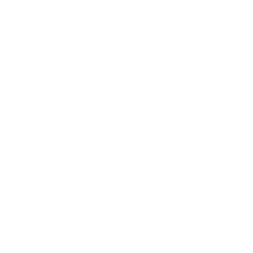 courage icon