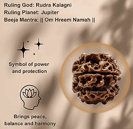 rudrakash image