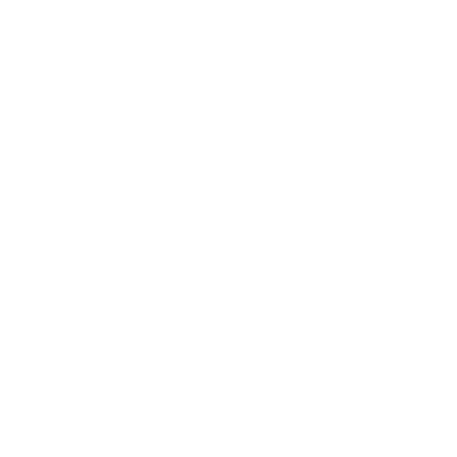 protection icon