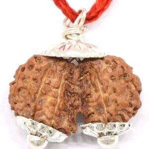 Authentic Gauri Shankar Nepali Rudraksha - Divine unity of Shiva & Shakti image