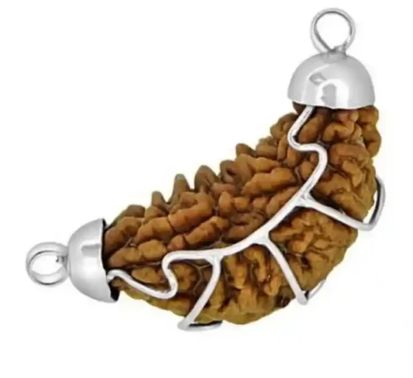 1 Mukhi Rudraksha Brings Divine Life Energy - Image 2