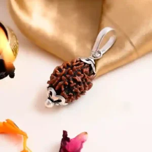 3 mukhi rudraksha image